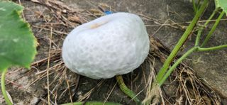 베리첼님의 자유주제 · 자유게시판 작성글 사진