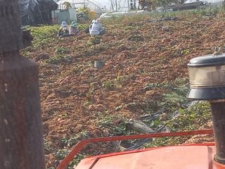 Happy100w님의 자유주제 · 자유게시판 작성글 사진