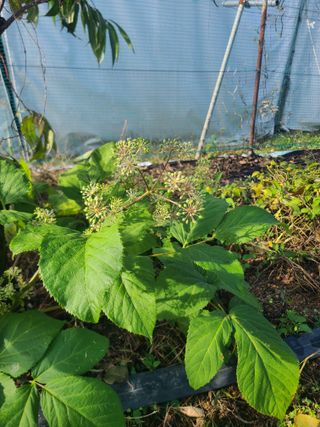 오경남님의 자유주제 · 자유게시판 작성글 사진