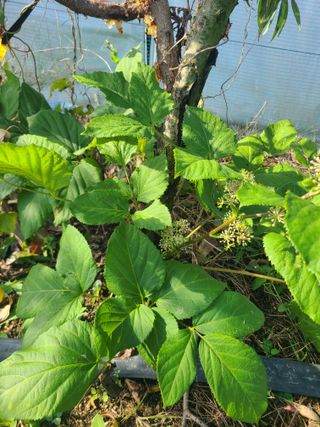 오경남님의 자유주제 · 자유게시판 작성글 사진