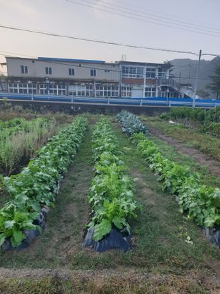 동방불패님의 자유주제 · 자유게시판 작성글 사진