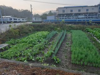 동방불패님의 자유주제 · 자유게시판 작성글 사진