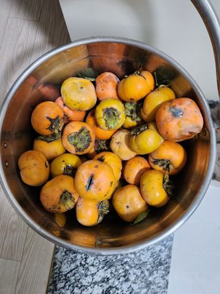 토다리 토종님의 감 · 영농일지 작성글 사진