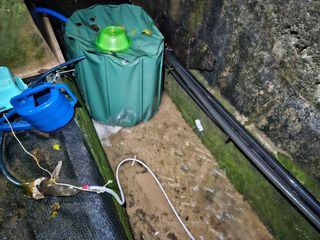 뿡뿡농장님의 블루베리 · 영농일지 작성글 사진