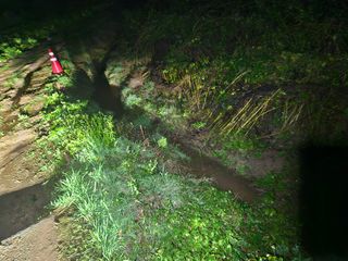 뿡뿡농장님의 블루베리 · 영농일지 작성글 사진