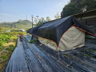 뿡뿡농장님의 블루베리 · 영농일지 작성글 사진