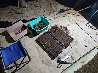 뿡뿡농장님의 블루베리 · 영농일지 작성글 사진