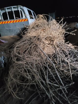 오아성님의 작성글 사진