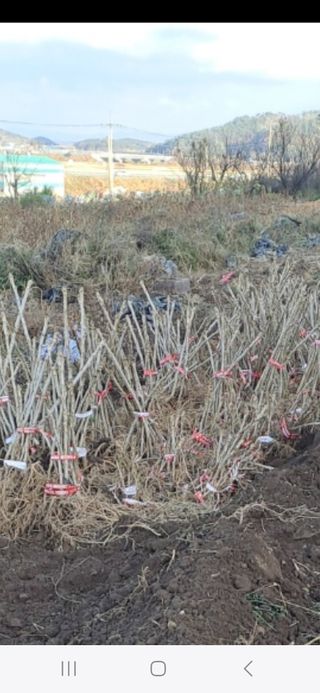 오아성님의 작성글 사진