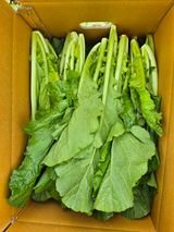 팜모닝 자유주제·자유게시판 게시글 이미지