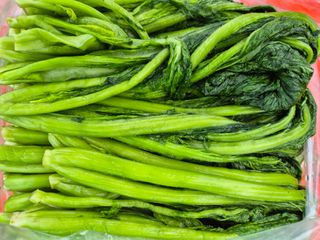 돌산갓스타님의 자유주제 · 자유게시판 작성글 사진