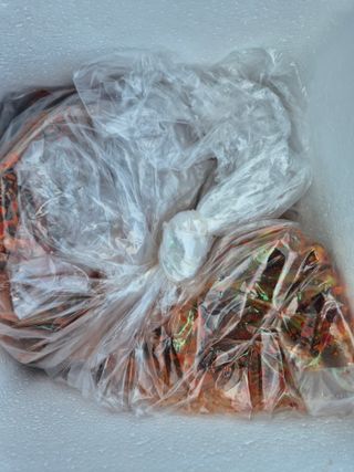 돌산갓스타님의 자유주제 · 자유게시판 작성글 사진