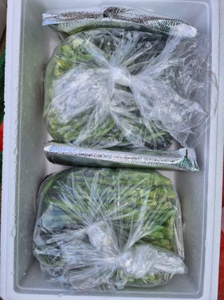 돌산갓스타님의 자유주제 · 자유게시판 작성글 사진