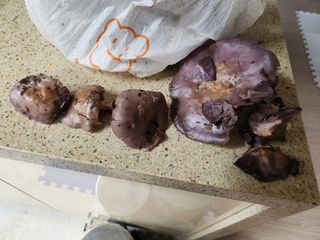 최귀동님의 자유주제 · 자유게시판 작성글 사진