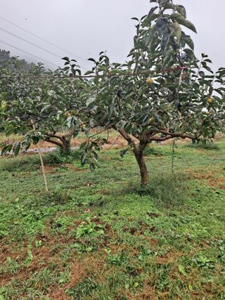 농촌사랑님의 자유주제 · 자유게시판 작성글 사진