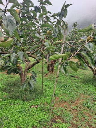 농촌사랑님의 자유주제 · 자유게시판 작성글 사진