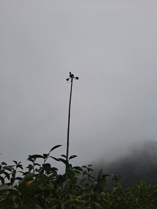 농촌사랑님의 자유주제 · 자유게시판 작성글 사진