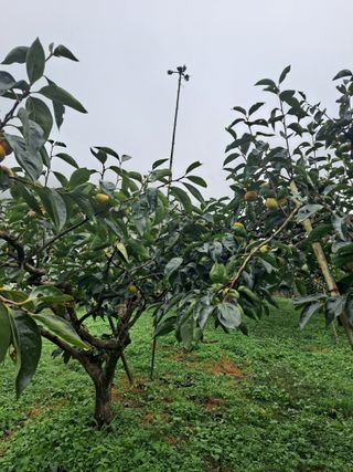 농촌사랑님의 자유주제 · 자유게시판 작성글 사진