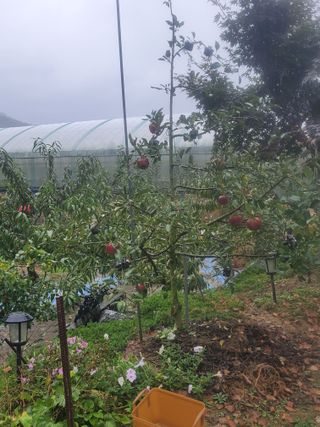 김도진님의 가을 농사 후 토양 어떻게 관리하세요? · 참여글 작성글 사진