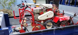 수리남님의 작성글 사진