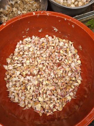 김용대님의 자유주제 · 자유게시판 작성글 사진