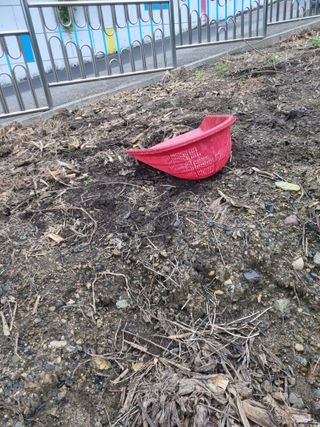 김용대님의 자유주제 · 자유게시판 작성글 사진