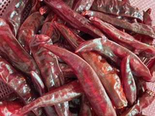 유인자님의 자유주제 · 자유게시판 작성글 사진