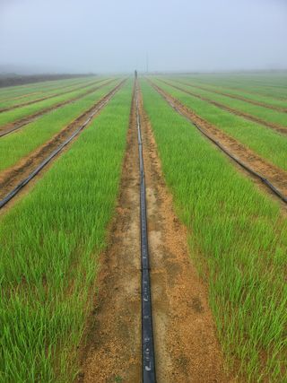 녹색나라님의 작성글 사진