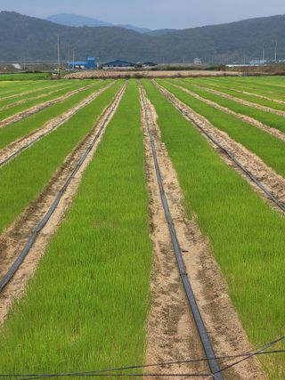 녹색나라님의 작성글 사진