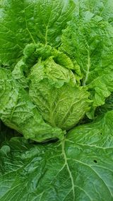 팜모닝 자유주제·자유게시판 게시글 이미지