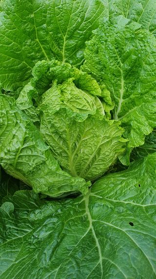 유형철님의 자유주제 · 자유게시판 작성글 사진