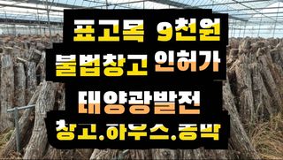 다음:농수산물공동구님의 버섯 · 품종•종자 작성글 사진