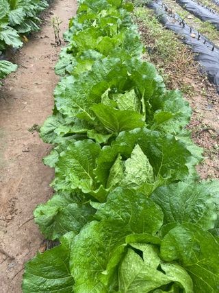 정연희님의 자유주제 · 자유게시판 작성글 사진