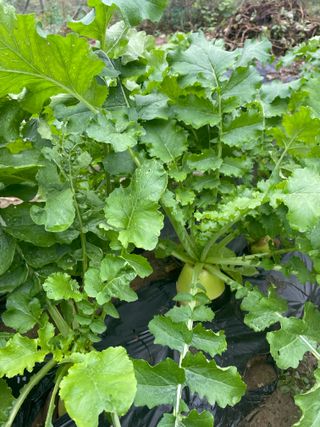 정연희님의 자유주제 · 자유게시판 작성글 사진