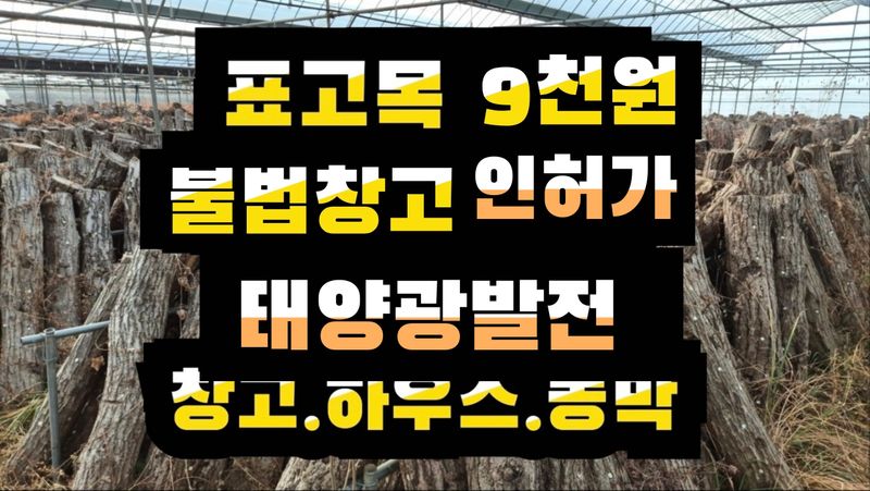 장터 상품 [표고목] 썸네일