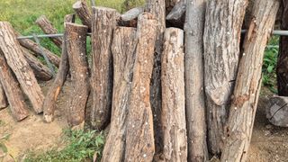 다음:농수산물공동구님의 작성글 사진