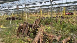 다음:농수산물공동구님의 작성글 사진