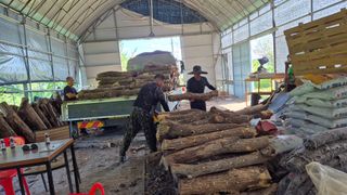 다음:농수산물공동구님의 작성글 사진