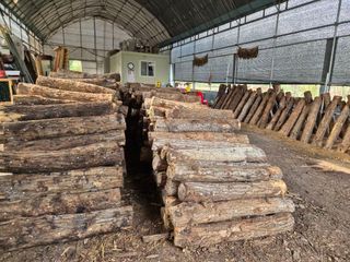 다음:농수산물공동구님의 작성글 사진