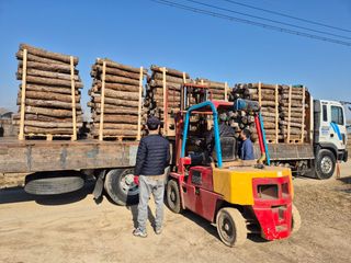 다음:농수산물공동구님의 작성글 사진