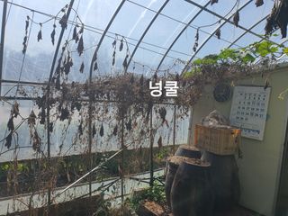 수랏간 농원 안승호님의 호박 · 영농일지 작성글 사진