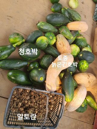 수랏간 농원 안승호님의 기타작물 · 영농일지 작성글 사진