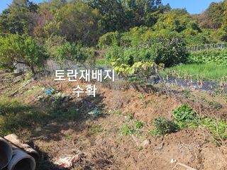 수랏간 농원 안승호님의 기타작물 · 영농일지 작성글 사진