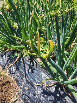 김상수님의 자유주제 · 자유게시판 작성글 사진