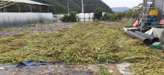 김영문님의 작성글 사진