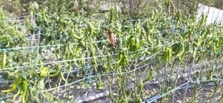 김영문님의 작성글 사진