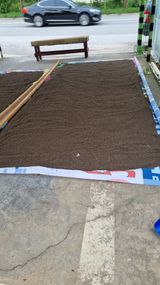 팜모닝 들깨·영농일지 게시글 이미지