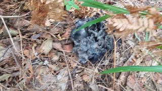 장철식님의 자유주제 · 자유게시판 작성글 사진