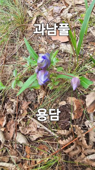 장철식님의 자유주제 · 자유게시판 작성글 사진