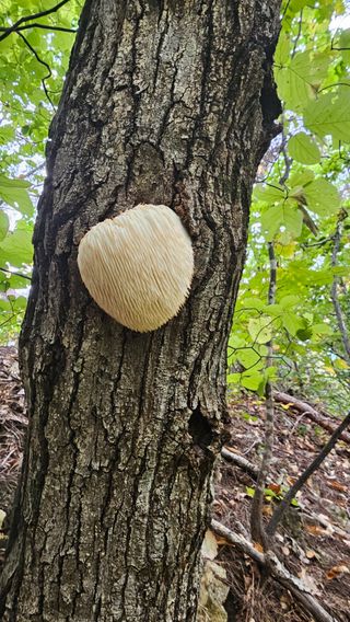 장철식님의 자유주제 · 자유게시판 작성글 사진